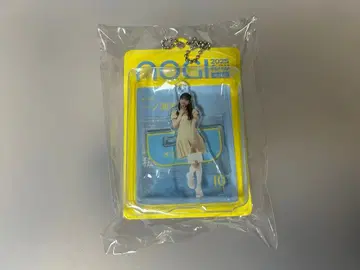 2448. 노기자카46 이치노세 미쿠 미니어처 키링