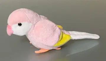 아키쿠사 잉꼬 봉제 인형 10C+1