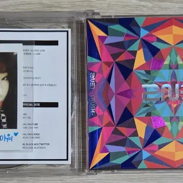택포] 투애니원 2NE1 - 2집 Crush Pink 포카 공민지 | CD/DVD/LP