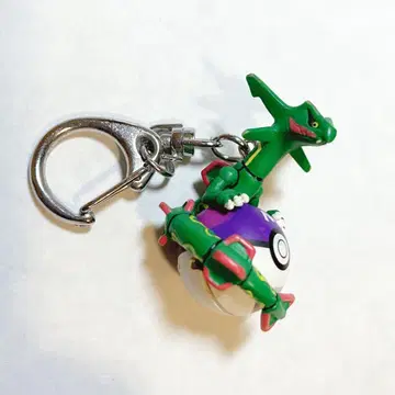 포켓벨트 레쿠자