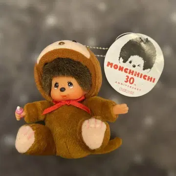 몽치치 30주년 기념 곰돌이 몽치치