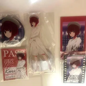 최애의 아이 TGC 아리마 카나 세트