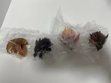 제일복권 몬스터 헌터 와일즈 C상 몬스터 헤드 마그넷 4종