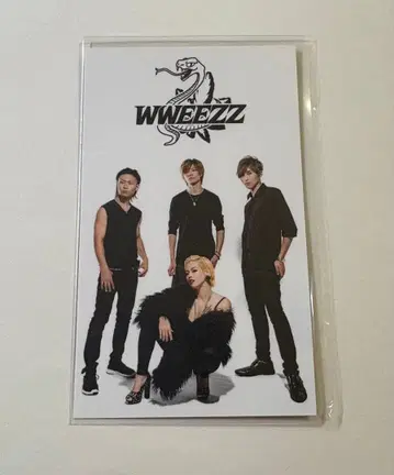 -진 천지개벽집단-지그재그 WWEEZZ 카게마루 트레이딩 카드