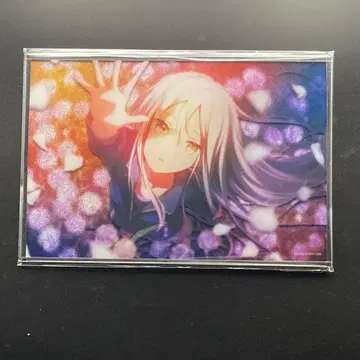 프로세카 색지 A 하피콜레 미개봉 요이사키 카나데