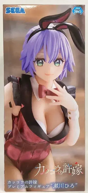 세가 프리미엄 피규어 뻐꾸기 커플 세가와 히로