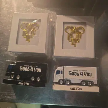 아이나나 VISIDLIVE TOUR GOOD 4 YOU 미니카 배지