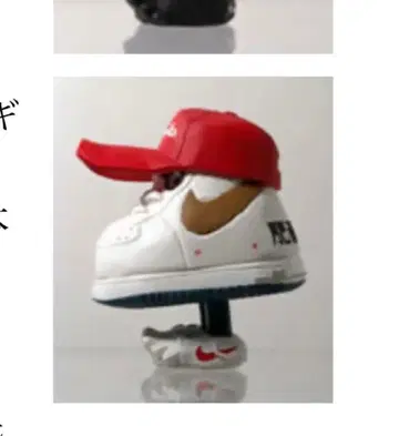 NIKE x Mr. Shoe sample / Michael Lau