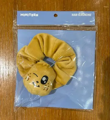 miniteen 민규 스크런치 SEVENTEEN 세부치