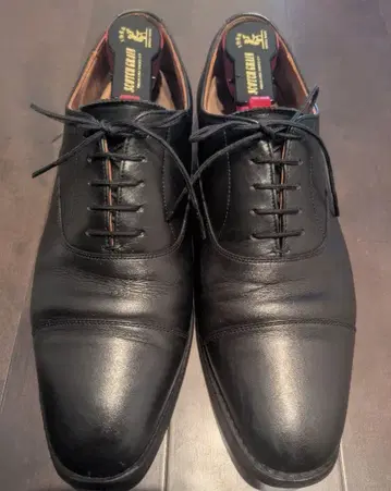 스코치그레인 스트레이트 팁 25.5/SCOTCHGRAIN/R1755