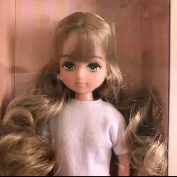 팔레트F 버스데이 프렌드 모델 2026