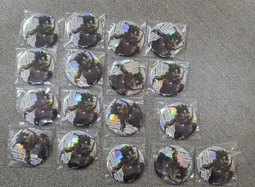 히어로 플라자 Twilight 히로아카 미도리야 캔뱃지