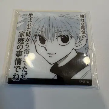 키루아 조르딕 마그넷 컬렉션