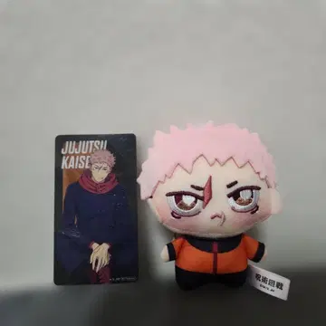 주술회전 쵸피누이푸치 이타도리 유우지 봉제 인형 특전 카드 포함