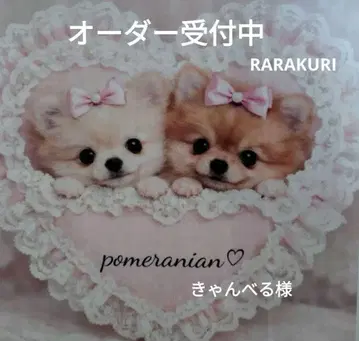 포메라니안 퍼그 토이푸들 멀티 요키 치와와 패널 오더 접수 중