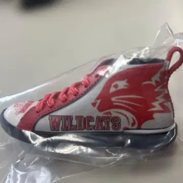 디즈니 레이서 와일드캣츠 디자인