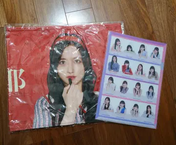 사카미치 시리즈 타월 태피스트리 및 클리어 파일 세트 카나카와 사야