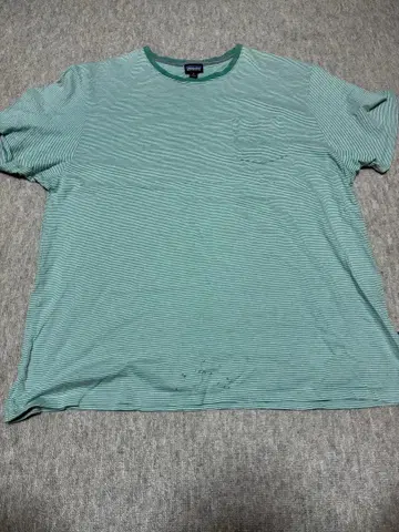 Patagonia 반팔 셔츠 그린 스트라이프