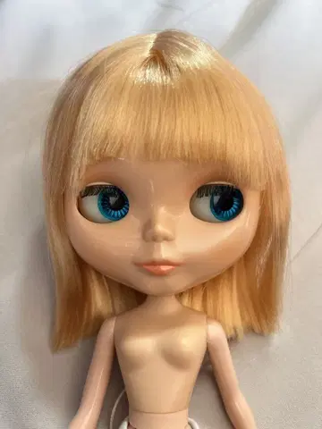 네오 브라이스 굿 네이버 카페 본체만