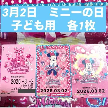 디즈니 리조트 라인 프리 티켓 미니 팔루팔루자 3매