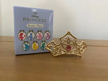 디즈니 스토어 시크릿 티아라 오로라 공주