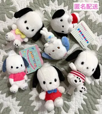 산리오 포차코 봉제 인형 키체인 묶음 판매