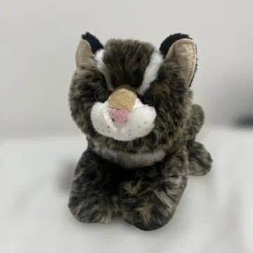 이리오모테삵 봉제 인형