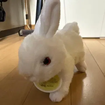 화이트 토끼 봉제 인형