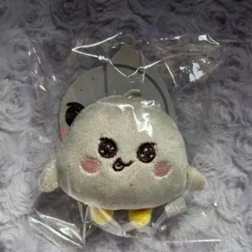 익명 배송 RIIZE 성찬 미니 은석 봉제 인형 키링