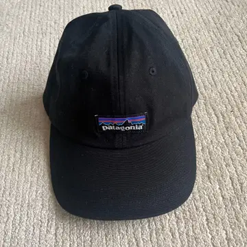 Patagonia 캡