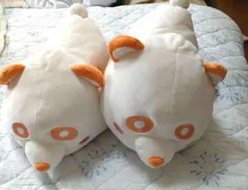 AAA 에-판다 오렌지 2세트