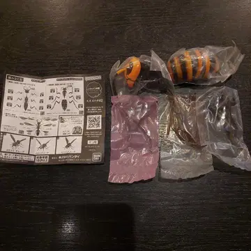 생물대도감 바이스 말벌 02