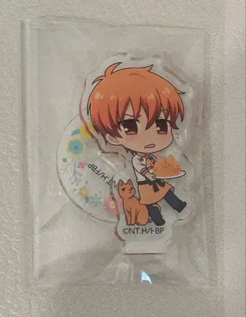 Animax Cafe+ 후르츠 바스켓 아크릴 스탠드 쿄