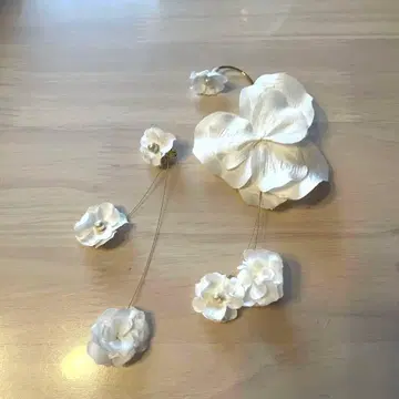 올가블랑카 귀찌