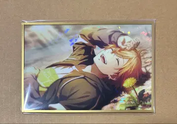 프로세카 시노노메 아키토 아크릴 색지 A 하피콜레