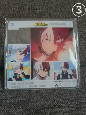 토도로키 쇼토 아크릴 스탠드 나의 히어로 아카데미아