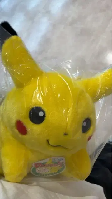 포켓몬 1/1 스케일 피카츄 등신대 봉제 인형