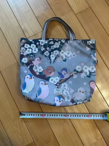 캐스키드슨 x 디즈니 백설공주 레어 한정품