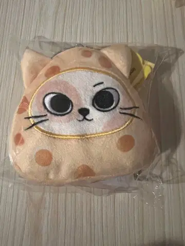 BOYNEXTDOOR 톰 제리 보넥도 키링 성호 케피