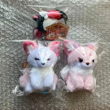 쵸콘과 여우 세트