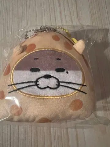 BOYNEXTDOOR 톰 제리 보넥도 키링 리우 달링