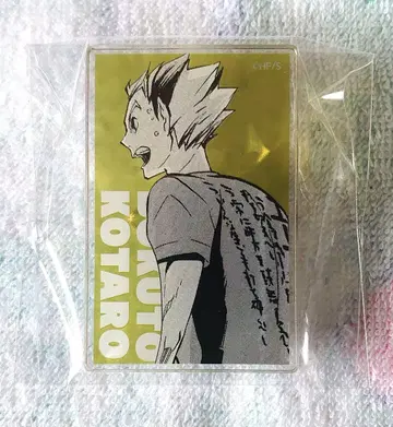 하이큐!! 보쿠토 코타로 아크릴 배지