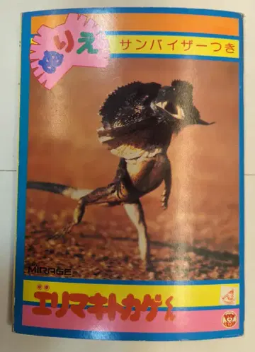 영광사 색칠놀이 목도리도마뱀 군