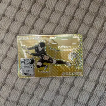 사쿠사 키요오미 하이큐 벌스데이 아크릴 스탠드 디오라마 스탠드 2024년