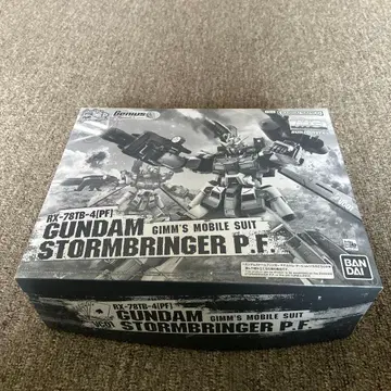 MG 1/100 건담 스톰브링거 P.F.