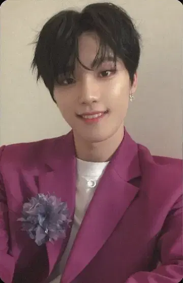 SEVENTEEN DINO 흩날리는 꽃잎 일반ver 트레이딩 카드