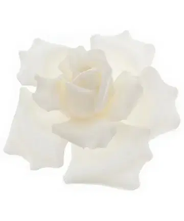 CHANEL 브로치 코사지 여성용