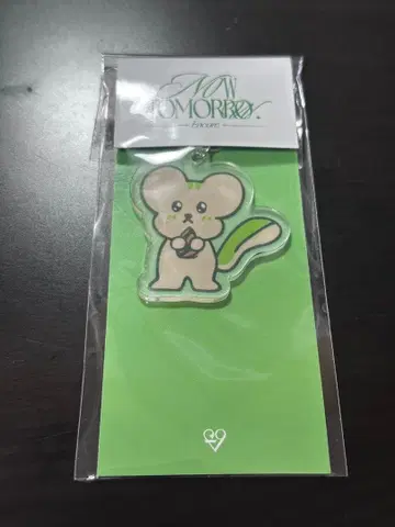 채영 fromis_9 Now Tomorrow 아크릴 키링 3