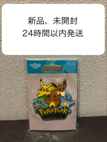 포케파크 칸토 오픈 기념 핀즈 스타팅 포켓몬 피카츄 이브이 개수 1개