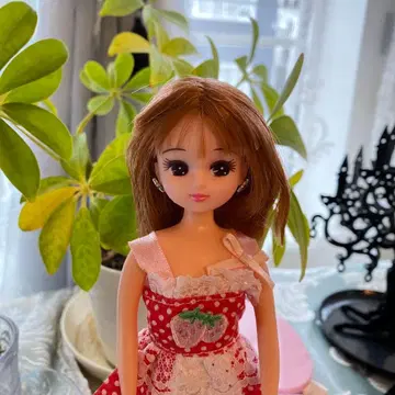 리카짱 인형 본체 딸기 드레스